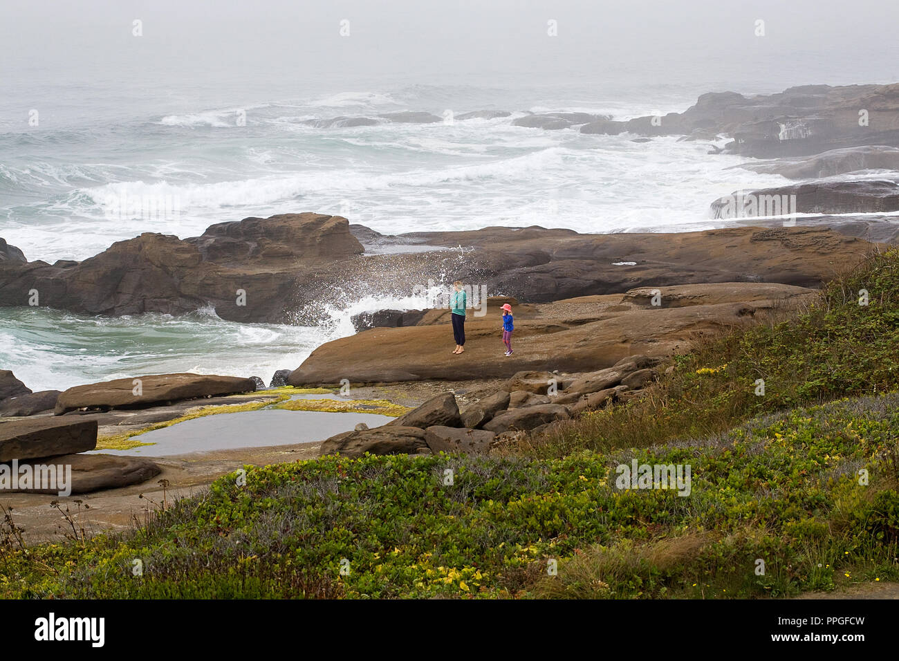 Pesanti rotoli di surf in una roccia litorale su Oregon Pacific Coast in Yachats, Oregon, su una tarda estate mattinata nebbiosa. Foto Stock