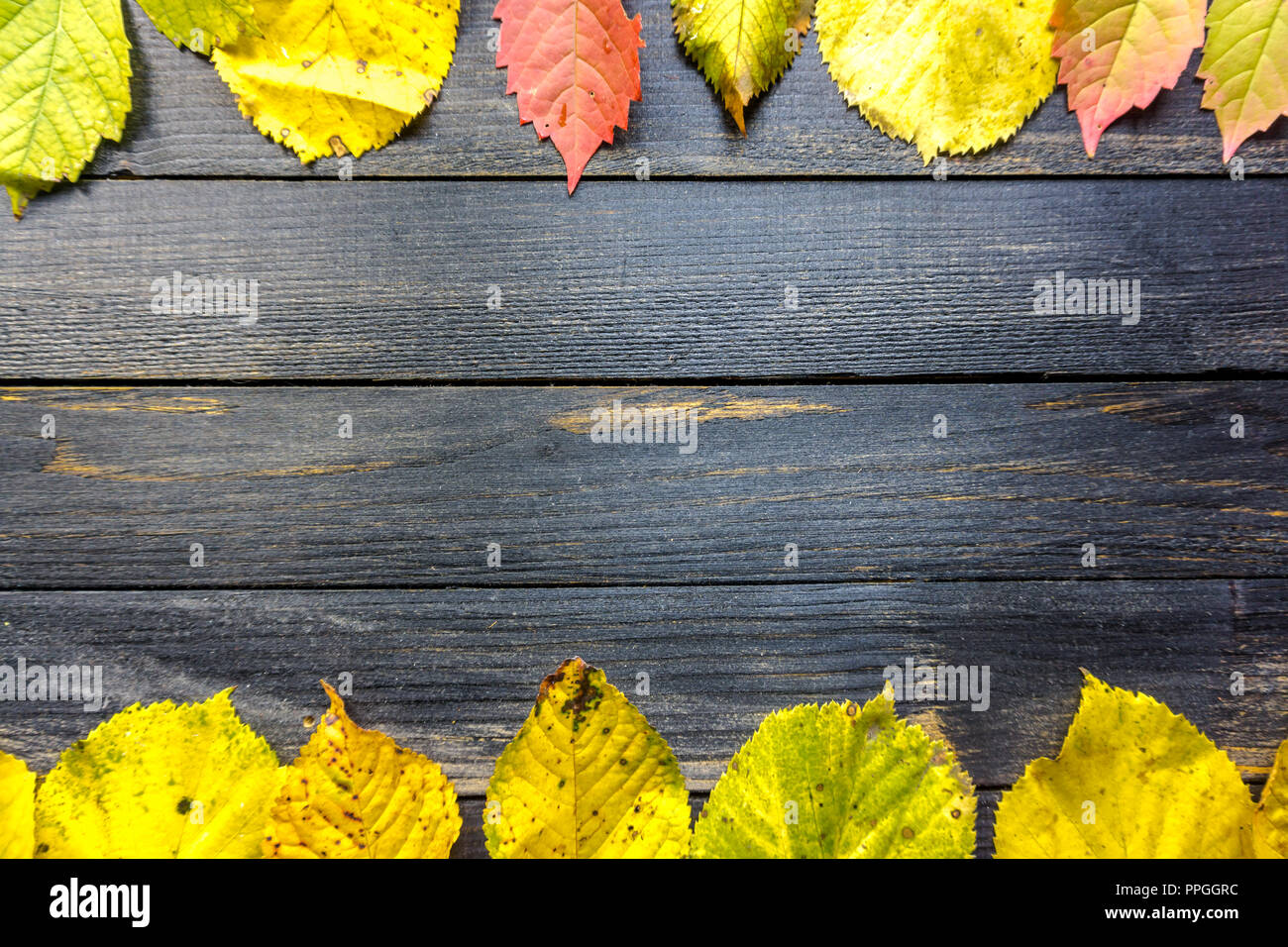 Giallo Autunno foglie sul rustico in legno scuro tavolo, spazio per il testo Foto Stock