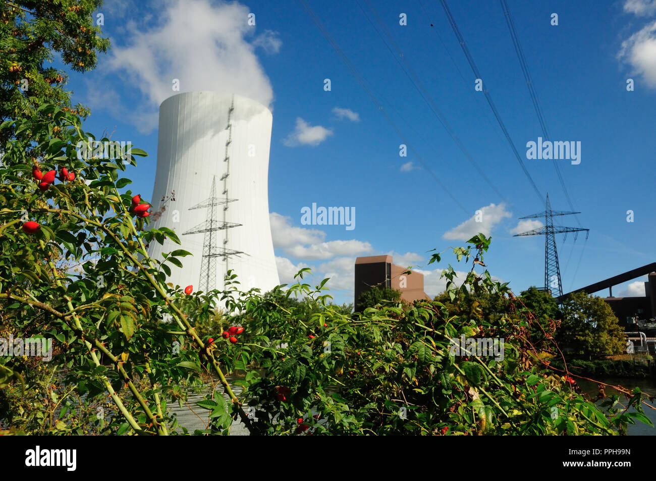 Centrali elettriche a carbone e la natura sotto il cielo blu a Heilbronn, Baden Wuerttemberg, Germania, Europa Foto Stock