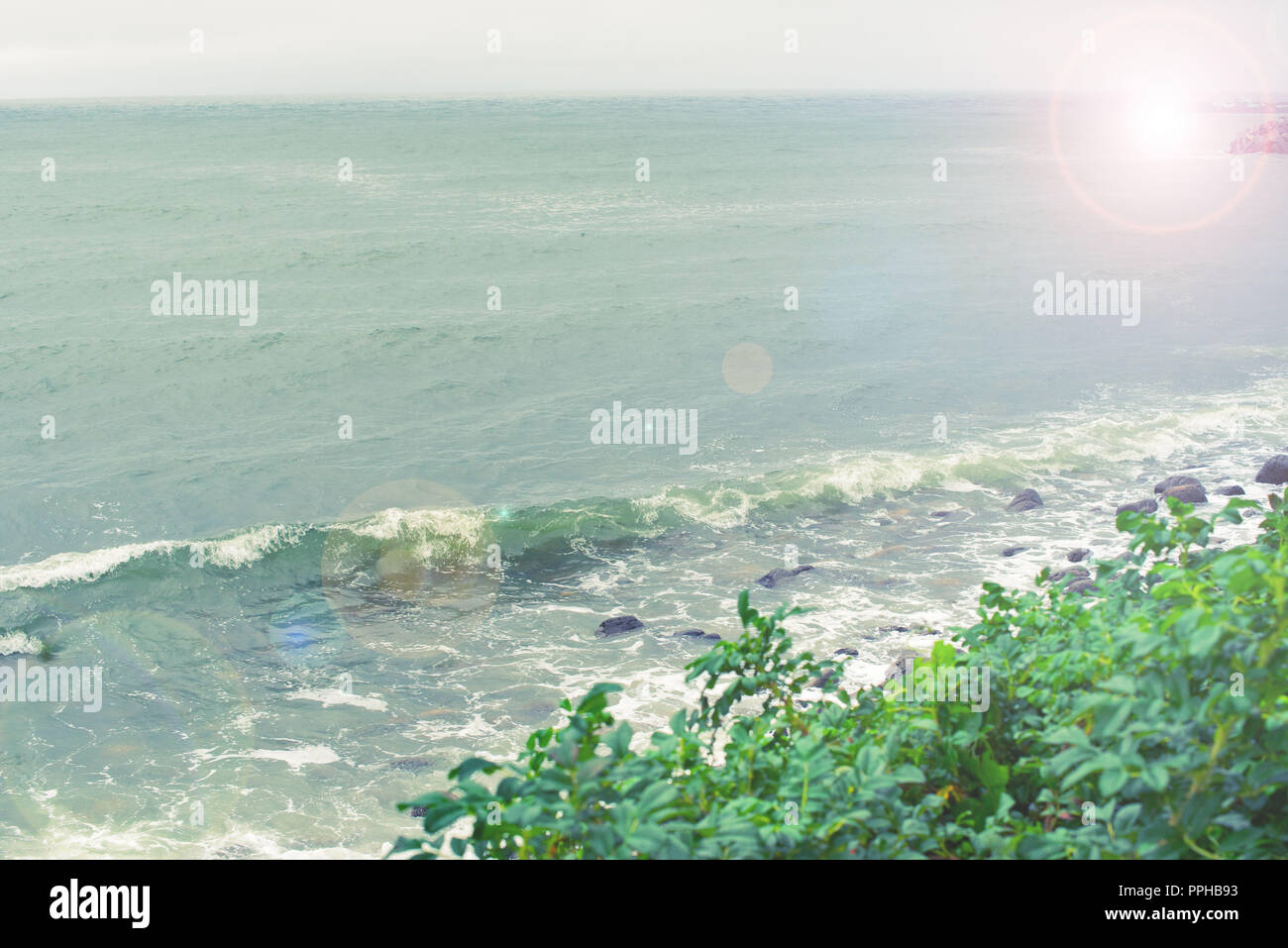 Paesaggio mare spiaggia rocciosa e ghiaiosa mare onde cespugli di schiuma rosa anca. Seascape naturale Foto Stock
