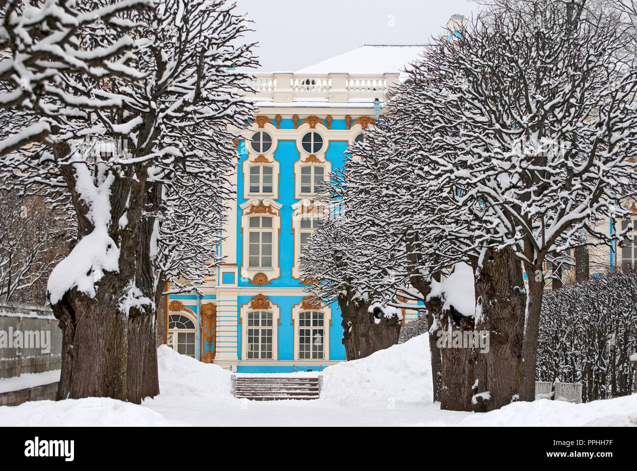 Carskoe Selo, San Pietroburgo, Russia - 27 gennaio 2015: il Palazzo di Caterina in Catherine Park. Periodo invernale. Foto Stock
