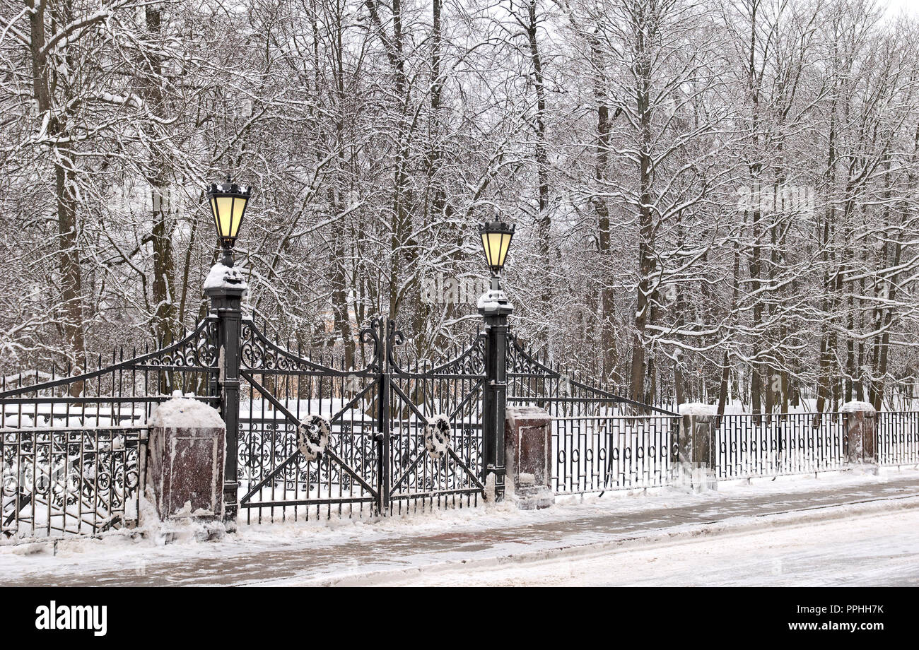 Carskoe Selo, San Pietroburgo, Russia - 27 gennaio 2015: ringhiera e cancello con lanterne di Catherine Park. Periodo invernale. Foto Stock