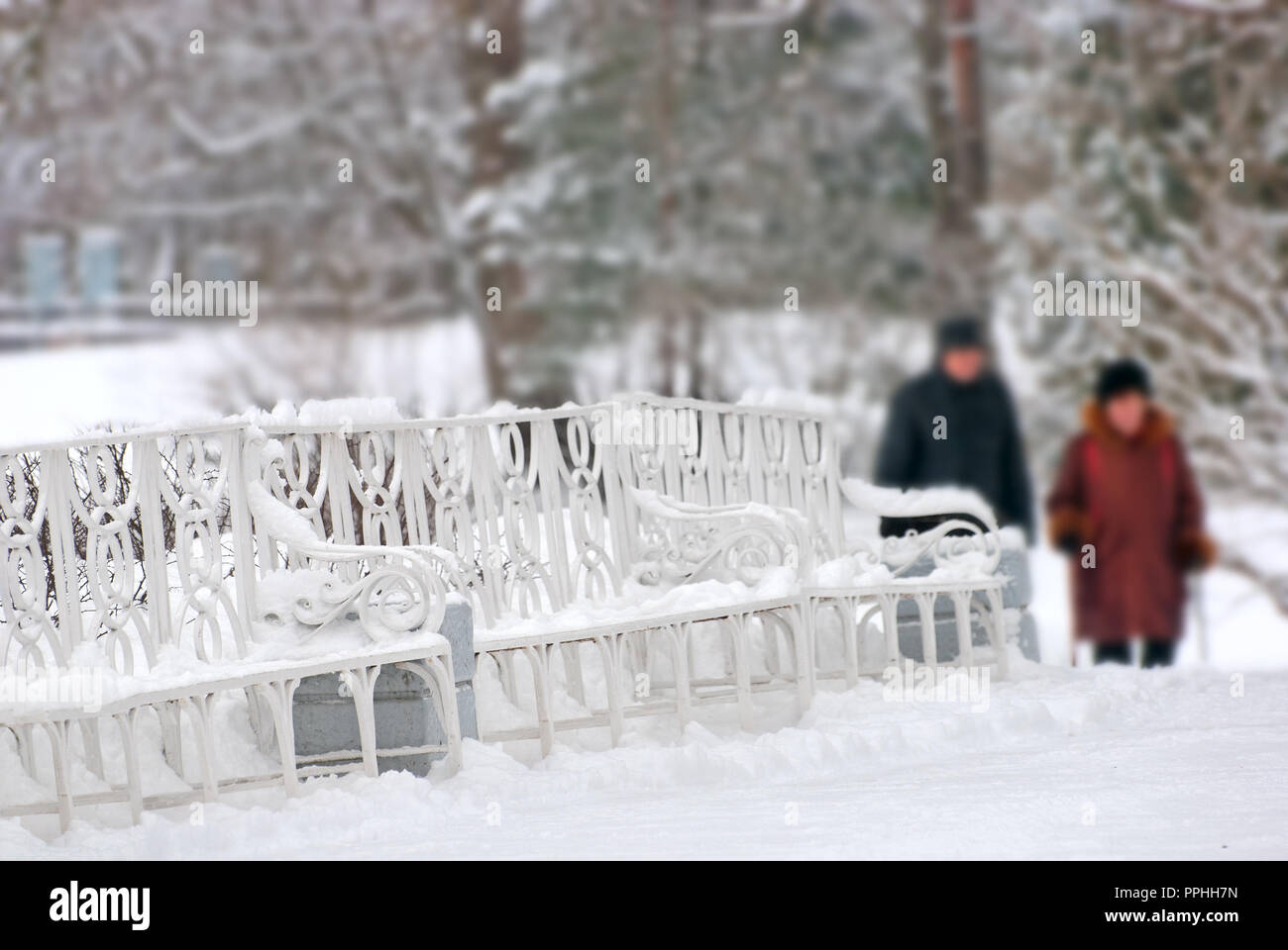 Carskoe Selo, San Pietroburgo, Russia - 27 gennaio 2015: Il Catherine Park. Periodo invernale. Il Carskoe Selo è stato Museum-Preserve. Foto Stock