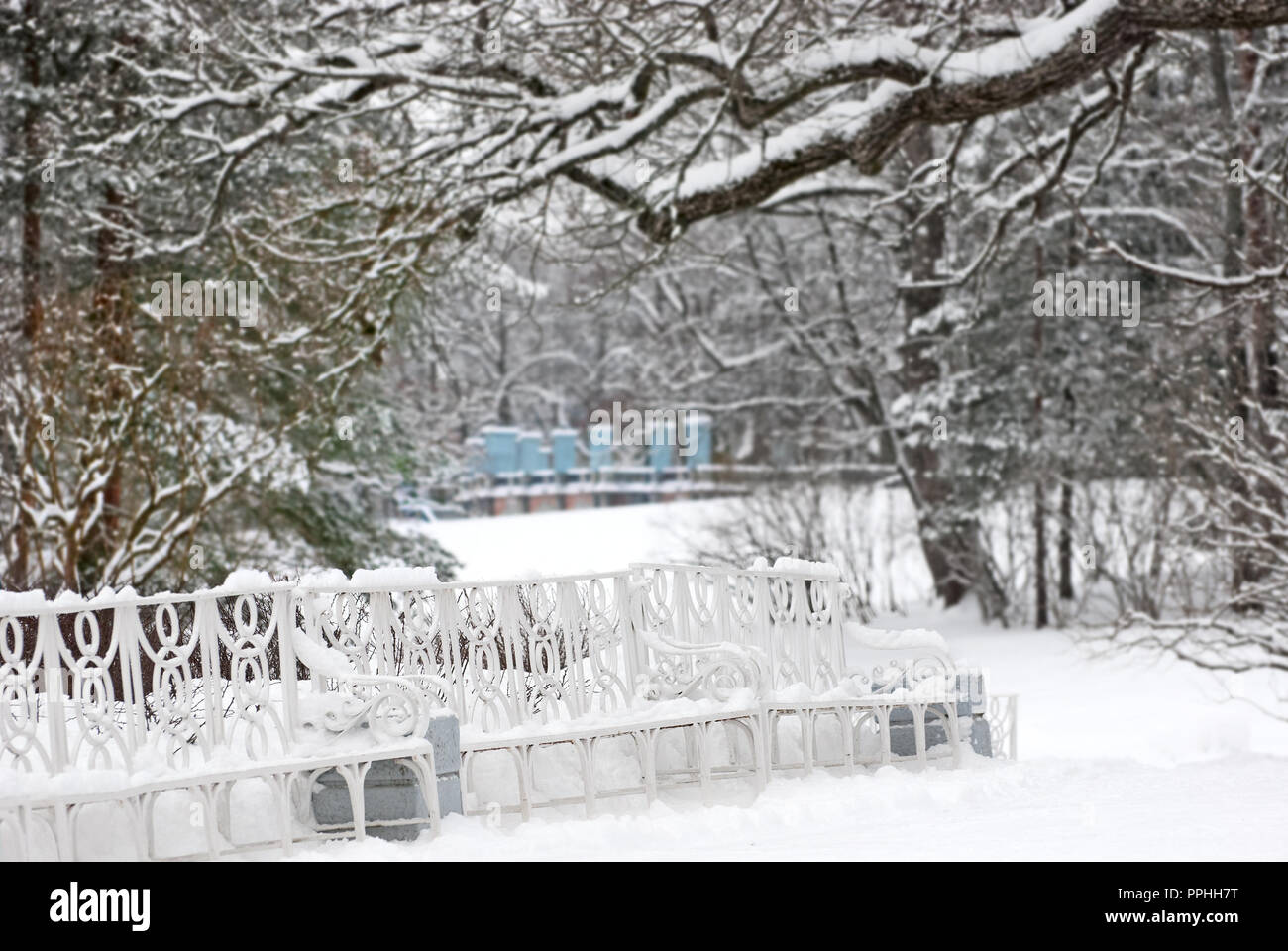 Carskoe Selo, San Pietroburgo, Russia - 27 gennaio 2015: Il Catherine Park. Periodo invernale. Il Carskoe Selo è stato Museum-Preserve. Foto Stock