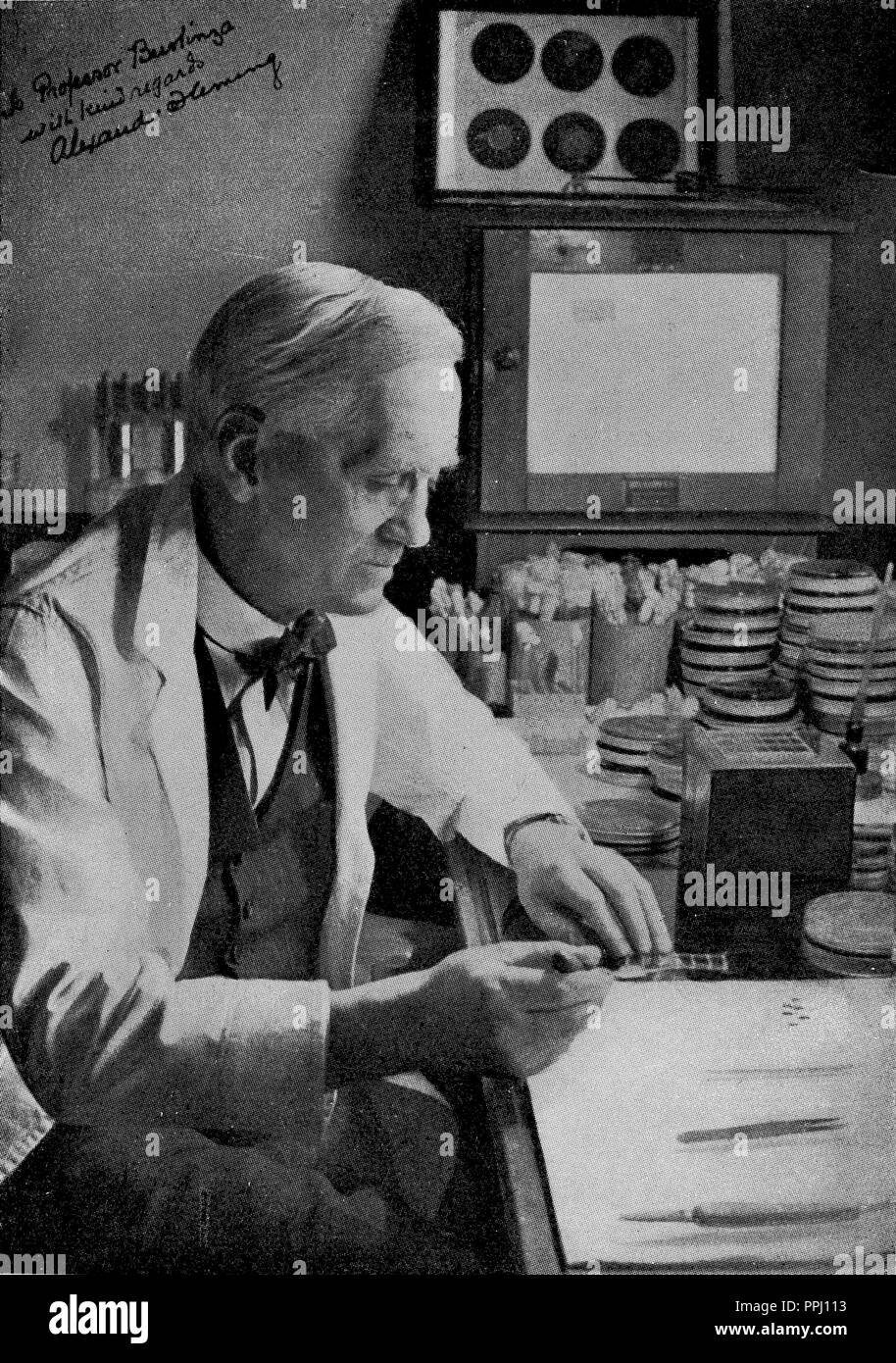 ALEXANDER FLEMING (1881-1955) - medico scozzese, microbiologo e farmacologo. Foto Stock