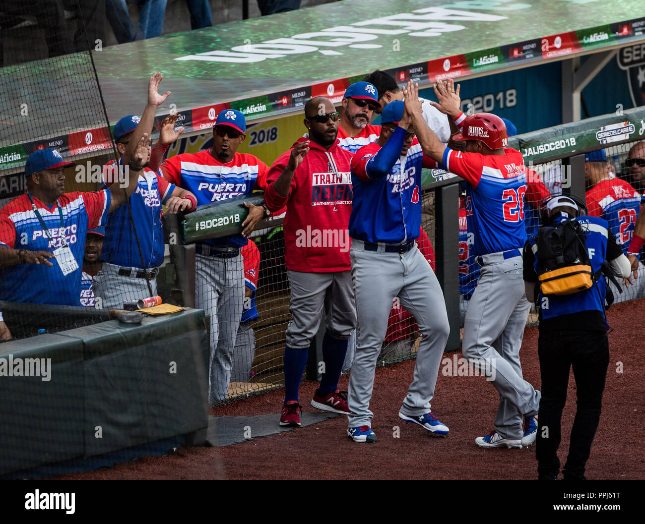 Jhonny Monell celebra carrera en Dogout . Partido de beisbol de la Serie del Caribe con el encuentro entre Caribes de Anzoátegui de Venezuela contra Foto Stock