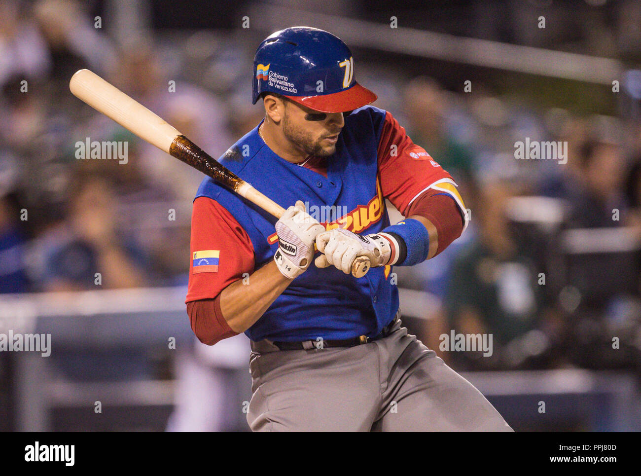 Jose Altuve de Venezuela en su primer al tuno bat, duranti el World Baseball Classic en estadio Charros de Jalisco en Guadalajara, Jalisco, Messico. M Foto Stock