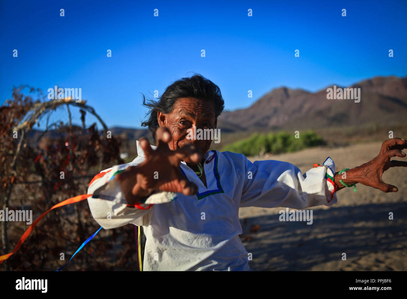 Francisco Barnet, sciamano della Seri gruppo etnico, arricchito come El CHAPO nella nazione Comcaa, Punta Chueca nel deserto di Sonora del Messico. Rituale, un Foto Stock