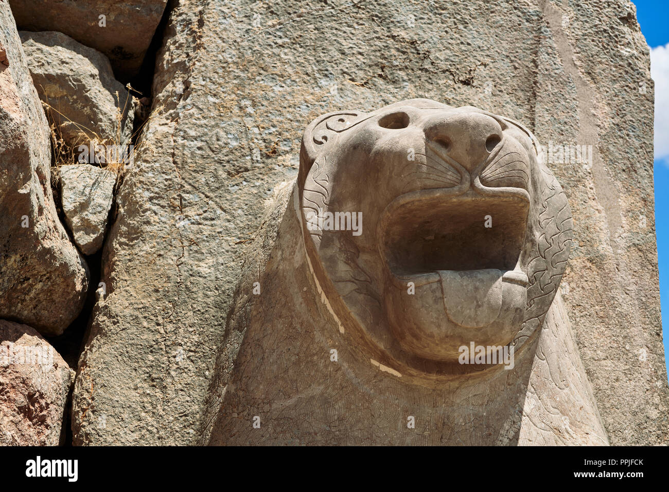 Hittita lion scultura della Porta del Leone. Hattusa (anche Ḫattuša o Hattusas) anatolica tarda età del Bronzo capitale dell'Hittita Impero. Hittita Foto Stock