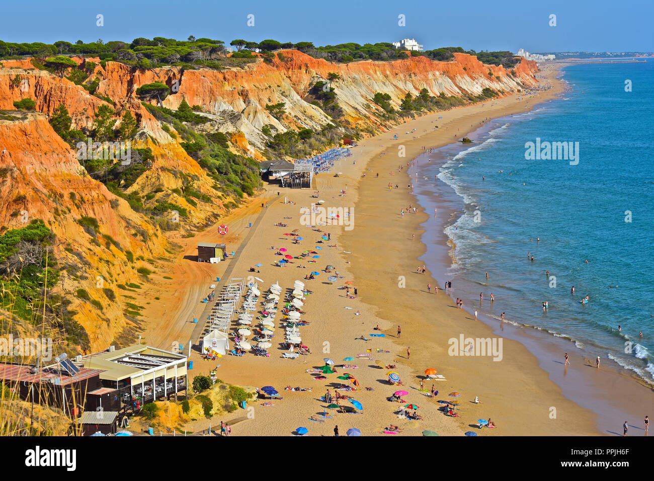 La splendida spiaggia di sabbia dorata di Praia de Falésia si estende oltre sei chilometri da Vilamoura a Olhos d'Agua, nella regione di Algarve in Portogallo. Foto Stock