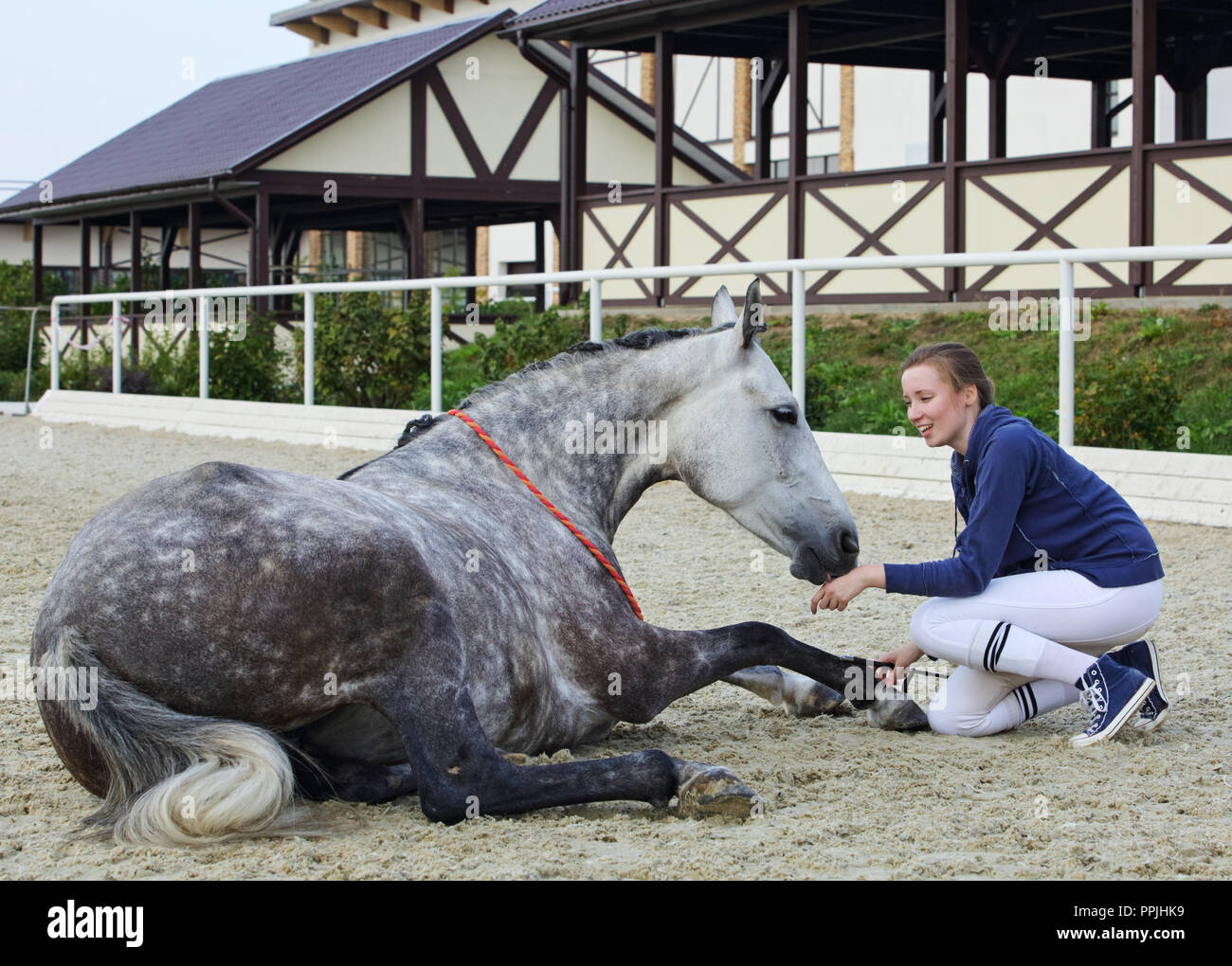 Donna e cavallo, equitazione naturale professionisti Foto Stock