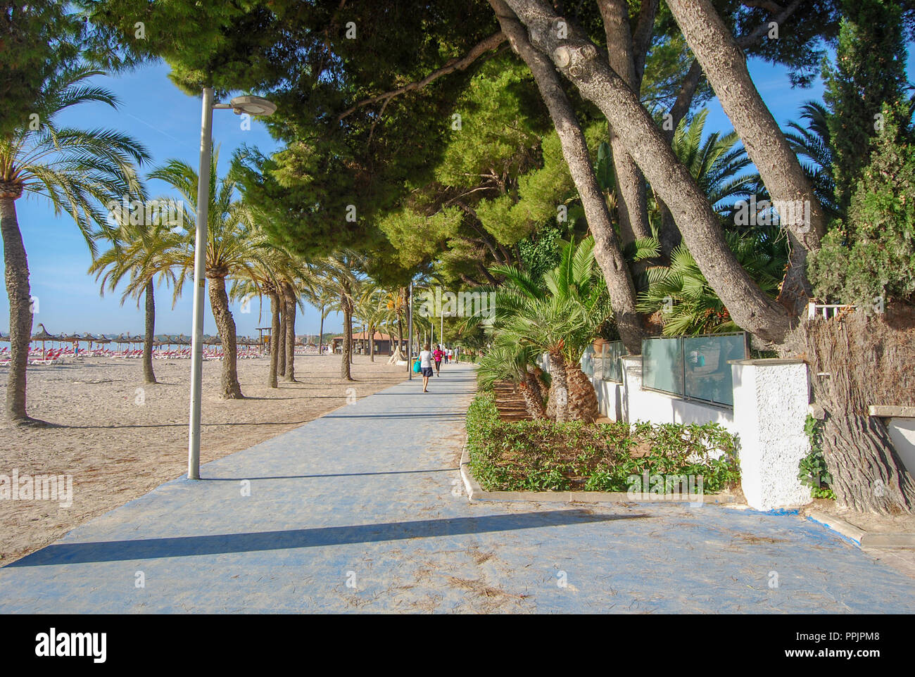 Spiaggia Vicino al Porto di Alcudia Maiorca Foto Stock