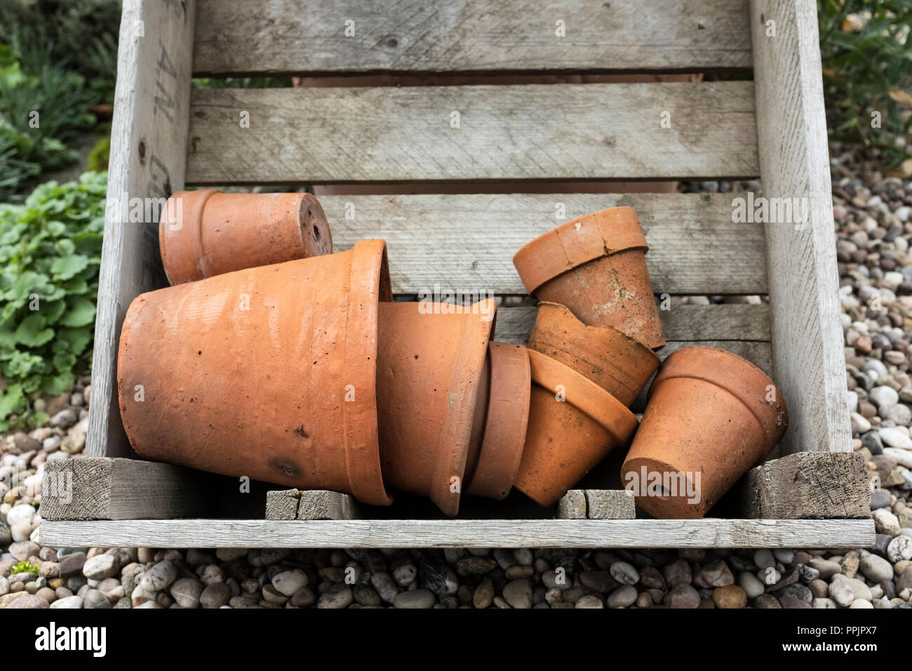 Vecchi vasi di terracotta in una cassa di legno. Foto Stock