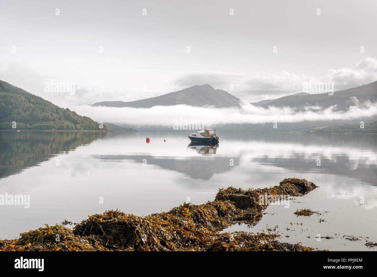 Riflessioni Loch Fyne Argyll Scozia Scotland Foto Stock