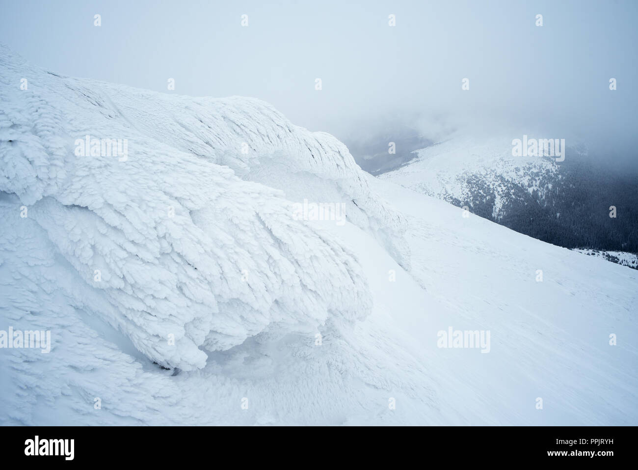 Brina su una roccia in montagna. Paesaggio invernale di una giornata nuvolosa. Le difficili condizioni atmosferiche Foto Stock