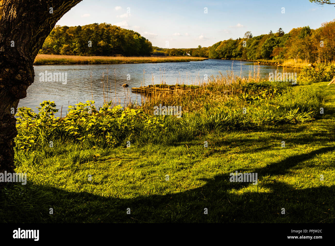 Firenze Museo Griswold   Old Lyme, Connecticut, Stati Uniti d'America Foto Stock