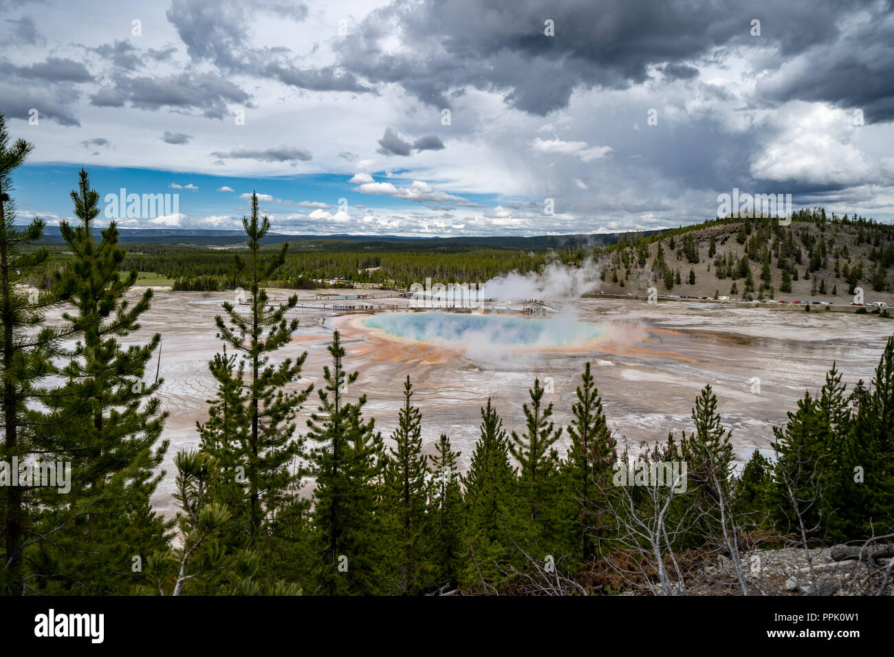 Grand Prismatic Spring nel Parco Nazionale di Yellowstone, come si vede dal Fairy Falls trail si affacciano, mostrando la primavera calda l'arcobaleno di colori. Alberi fr Foto Stock