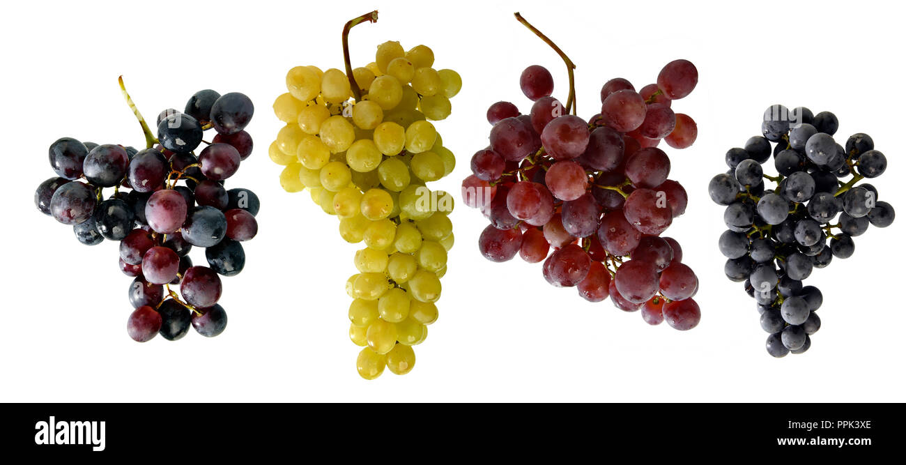 Bianco varietà per uve da tavola; rosso; nero; su sfondo bianco Foto Stock