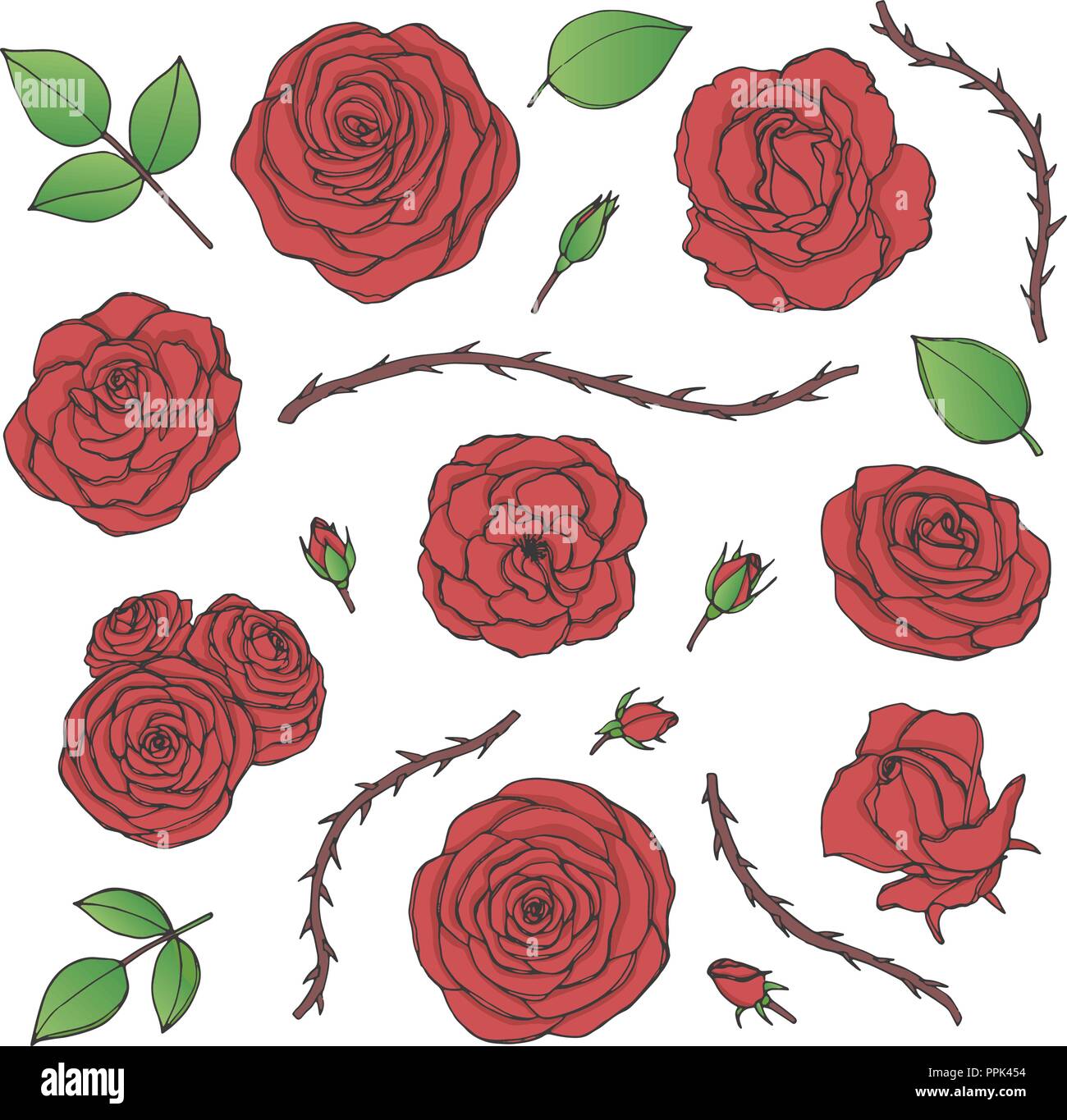 Set di vettore di red rose fiori con boccioli, foglie e steli spinosi contorni isolato su uno sfondo bianco. Disegnato a mano Collezione floreale di fiori Illustrazione Vettoriale