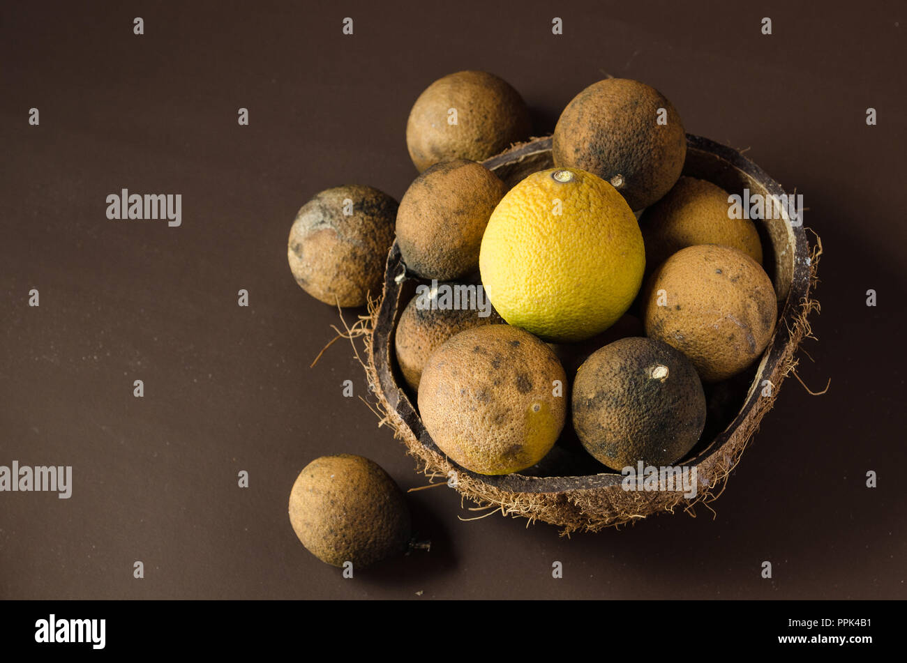 Asciugare i limoni a metà di una noce di cocco, su uno sfondo marrone, ornata con foglie secche sul lato destro, bella immagine per decorare i vostri testi e de Foto Stock