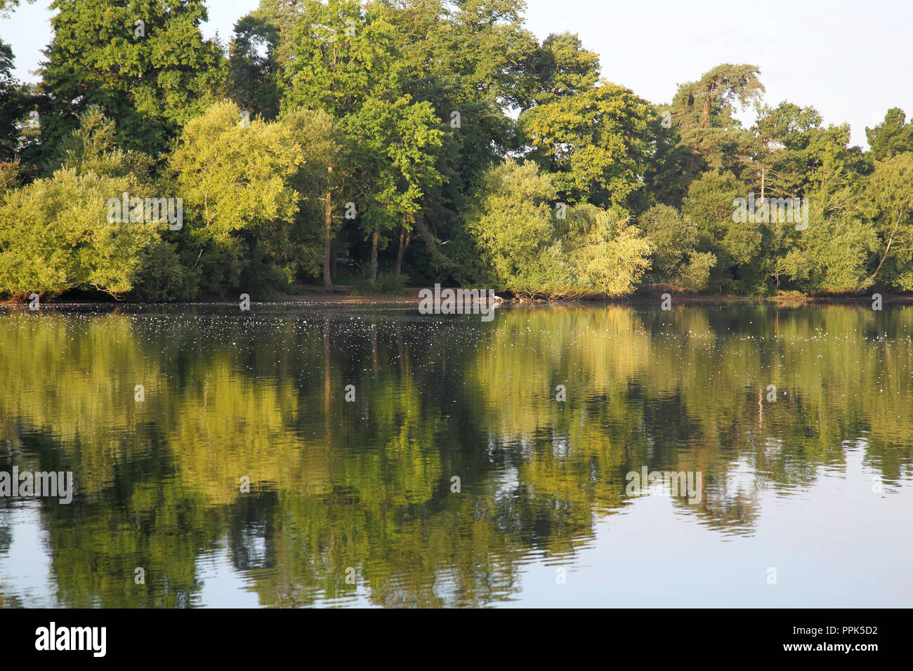 Petersfield heath e il lago di Hampshire Foto Stock