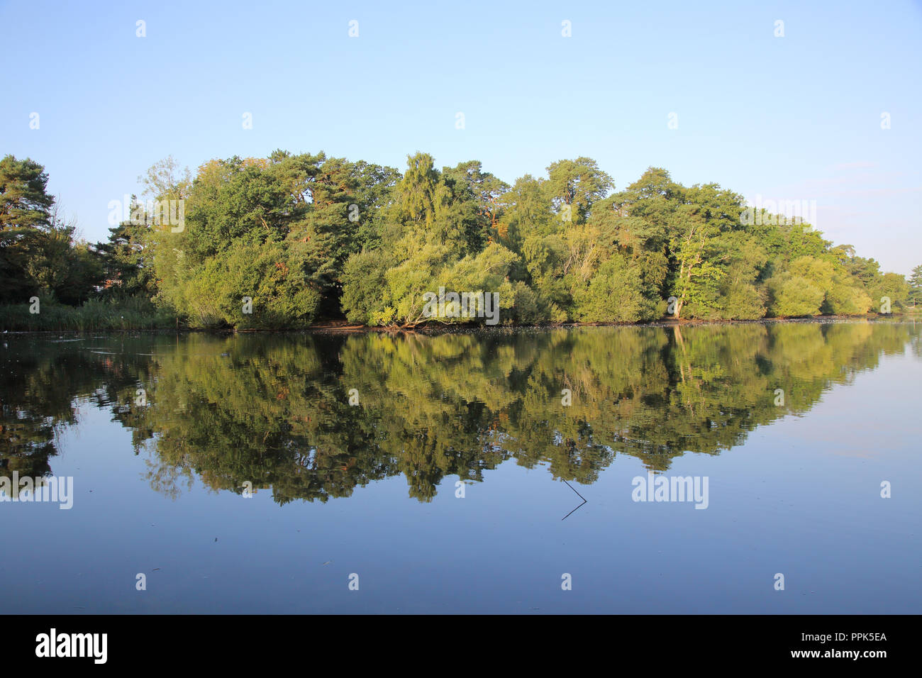 Petersfield heath e il lago di Hampshire Foto Stock