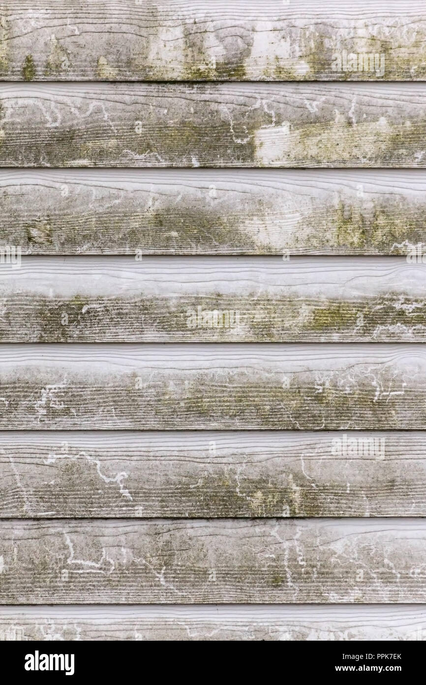 Immagine di sfondo con un weathered tavolato in legno parete. Foto Stock
