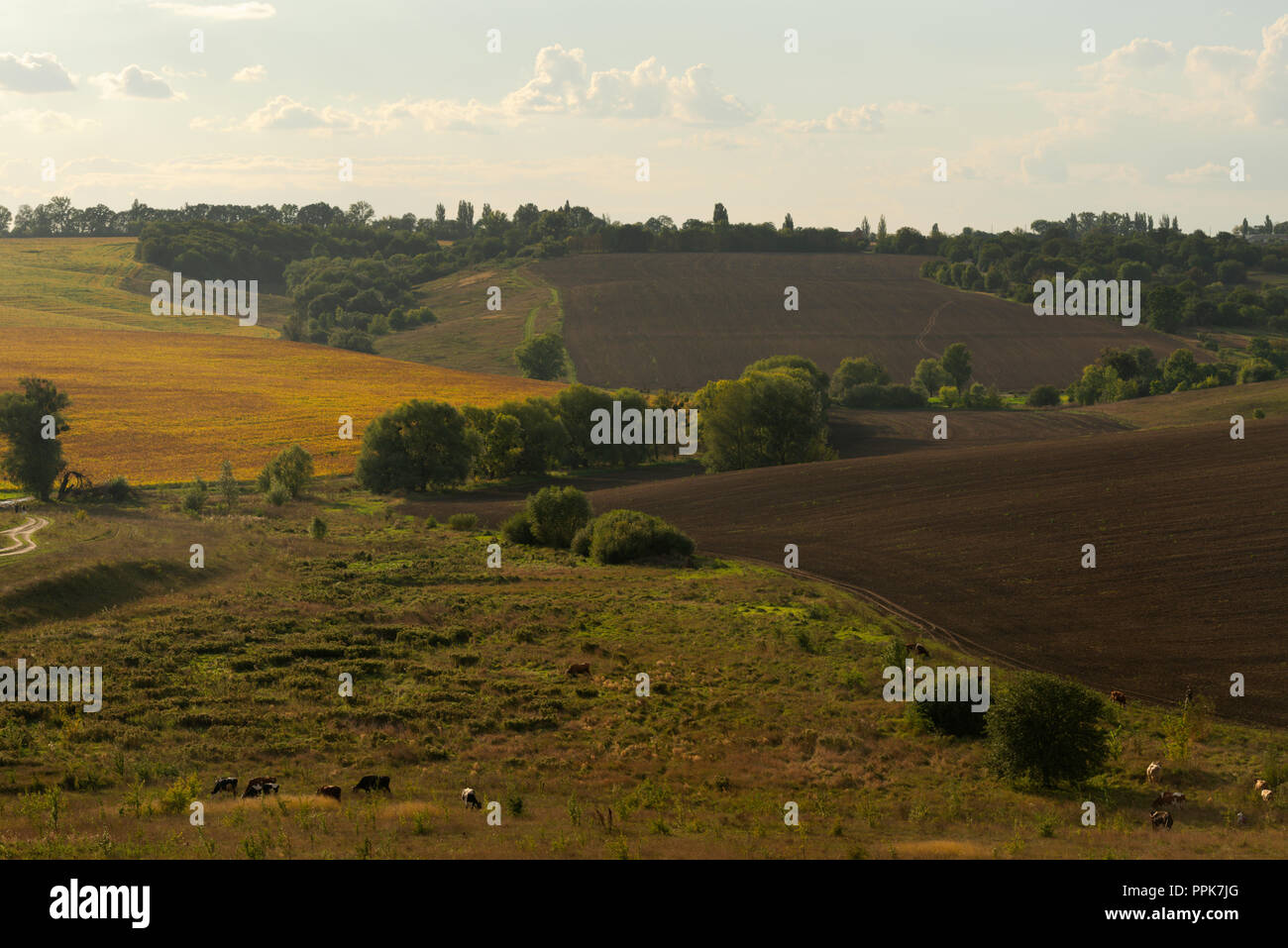 In autunno il paesaggio rurale, vista dalla collina Totoha, Ucraina Foto Stock
