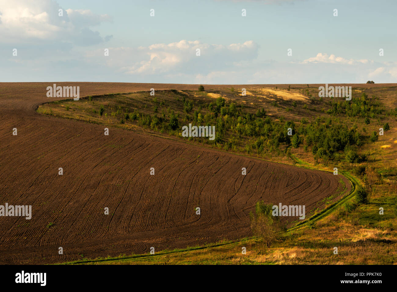 In autunno il paesaggio rurale, vista dalla collina Totoha, Ucraina Foto Stock