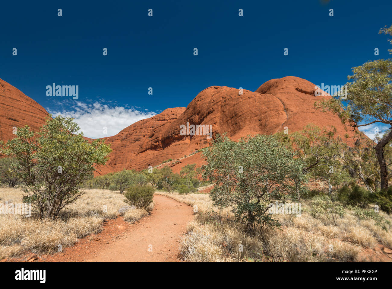 L'Olgas, Kata Tjuta National Park Uluru, Territorio del Nord, l'Australia Foto Stock