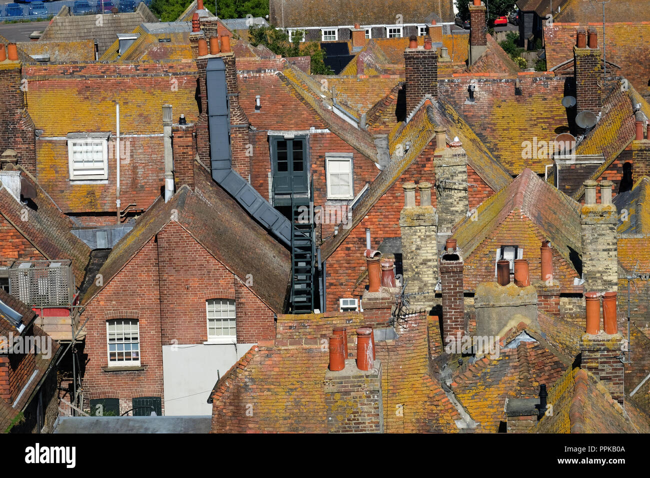 Sui tetti, segale, East Sussex Foto Stock