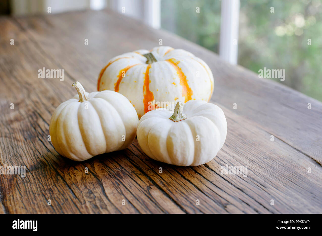 Autunno in scena con 3 mini zucche su una tavola di legno Foto Stock