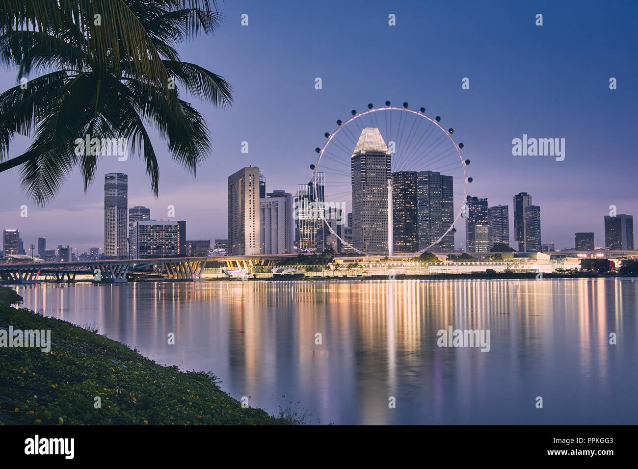 Luci della moderna città asiatiche. Palm tree contro Singapore skyline al tramonto. Foto Stock