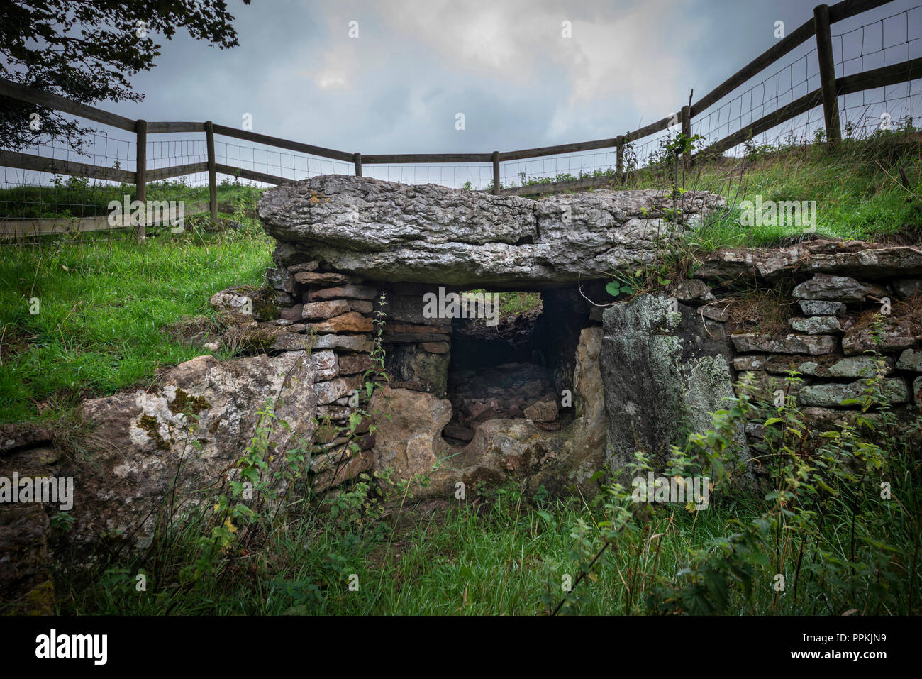 Bryn yr Hen Bobl Neolitico camera di sepoltura vicino Plas Newydd, Anglesey, Galles, Regno Unito Foto Stock