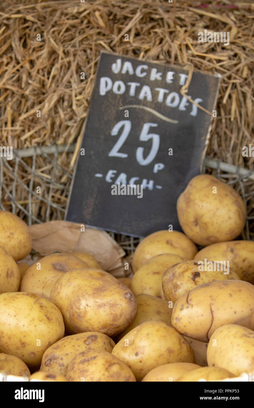 Fresca camicia organico le patate in un contenitore di maglia su una balla di fieno parte delle verdure fresche a Harwarden Station Wagon Farm Shop, Flintshire, Galles Foto Stock