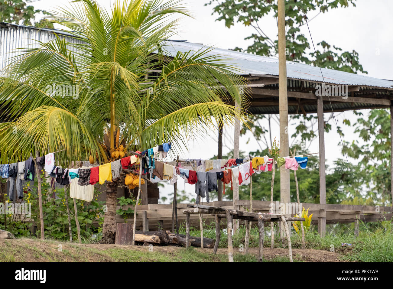Pacaya Samiria Riserva, Perù, Sud America. Home peruviana lungo il fiume Ucayali nel bacino amazzonico, con biancheria appesa ad asciugare accanto a un Coconu Foto Stock