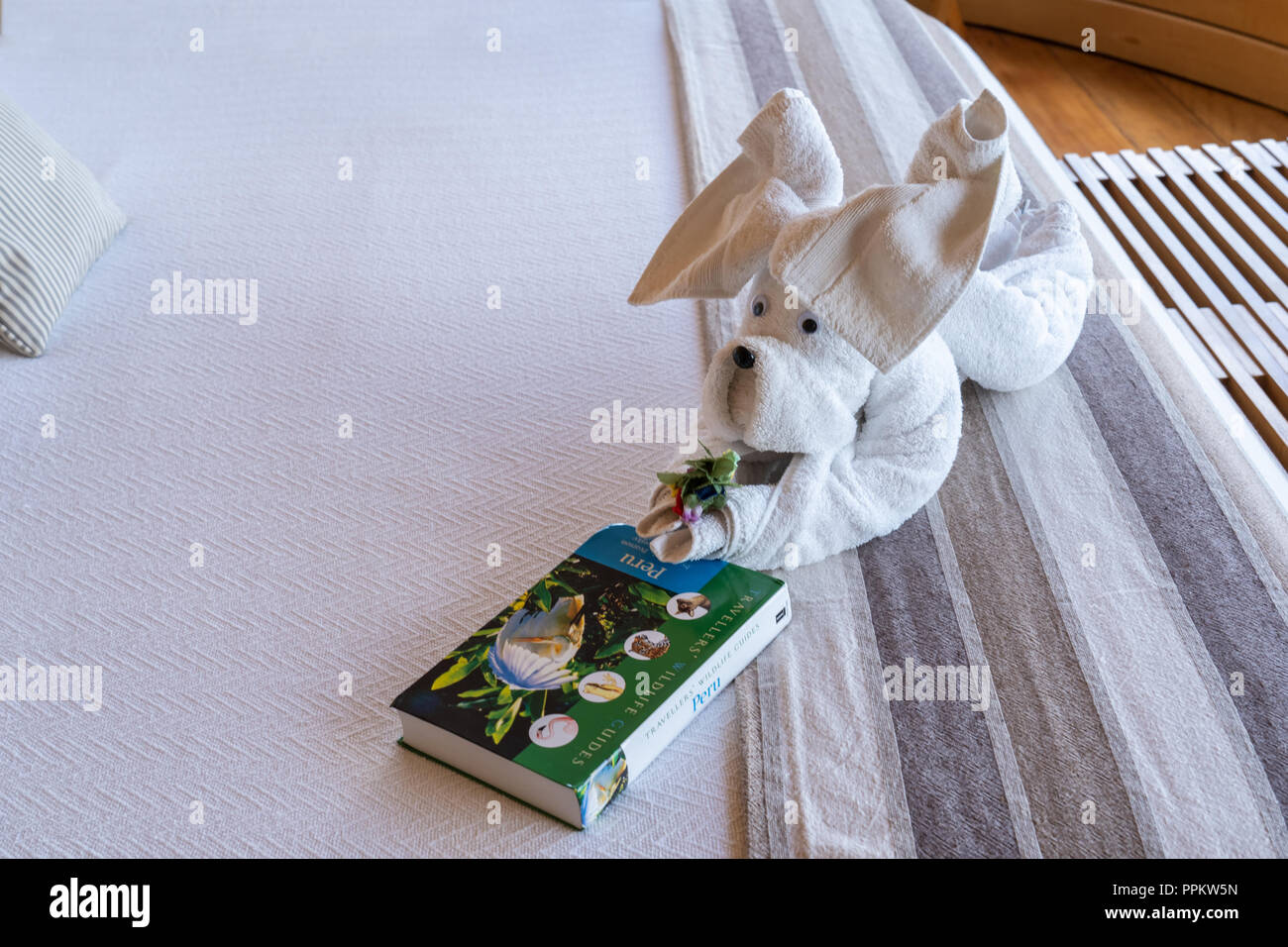 Asciugamano piegato in forma di un cane guardando un Perù guida della fauna selvatica, appoggiato su un letto Foto Stock