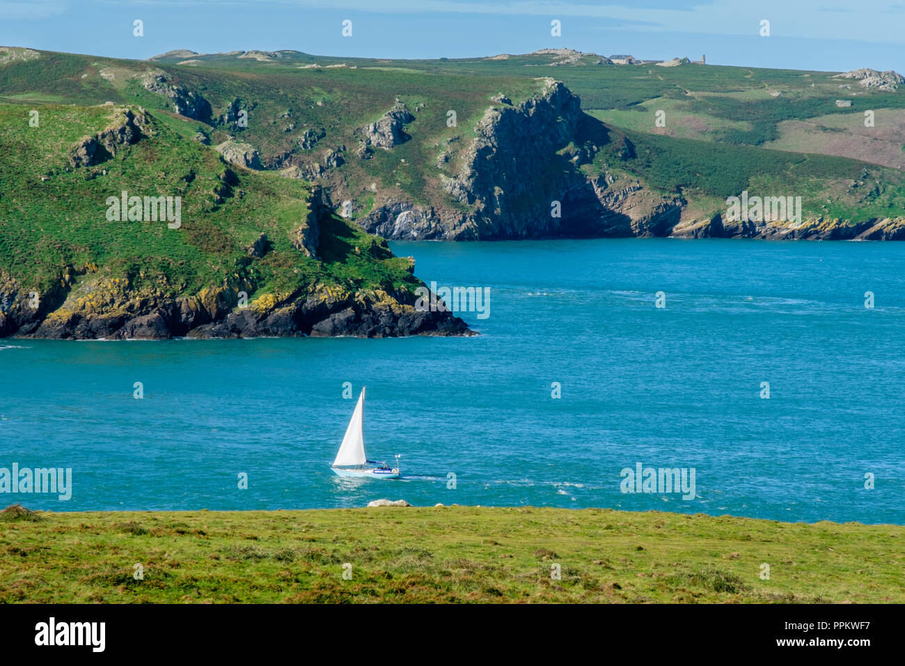 Imbarcazione a vela in Jack audio tra il promontorio a Martin's Haven e Skomer Island, a Martin's Haven, vicino Marloes, Pembrokeshire, Galles Foto Stock