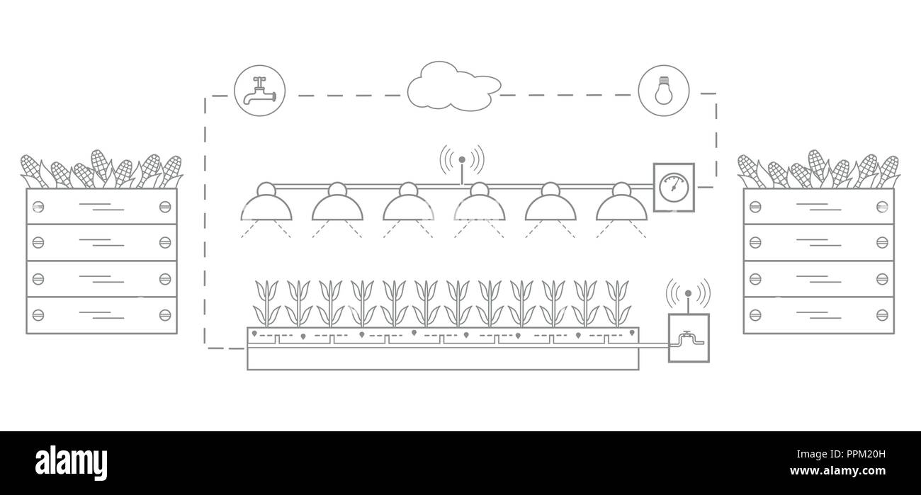 Smart farm e agricoltura. Il monitoraggio e il controllo della temperatura, umidità, luce livello. La coltivazione di piante. Le nuove tecnologie. Resa elevata. Illustrazione Vettoriale