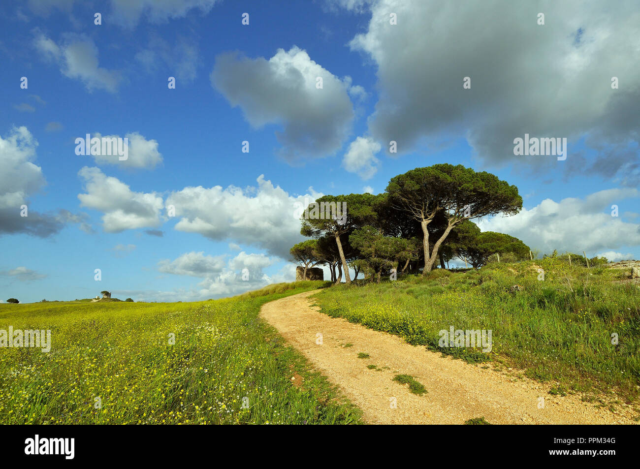 Arrábida Parco Natura, Setúbal. Portogallo Foto Stock