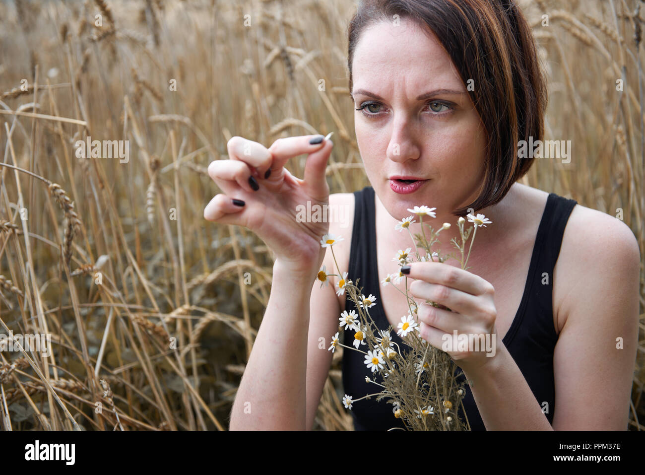 Una giovane ragazza con un mazzo di fiori seduti nei pressi di un campo di grano. Ella picks off petali di fiori e chiedendo amore o non amore usando vecchie leggende popolari un Foto Stock