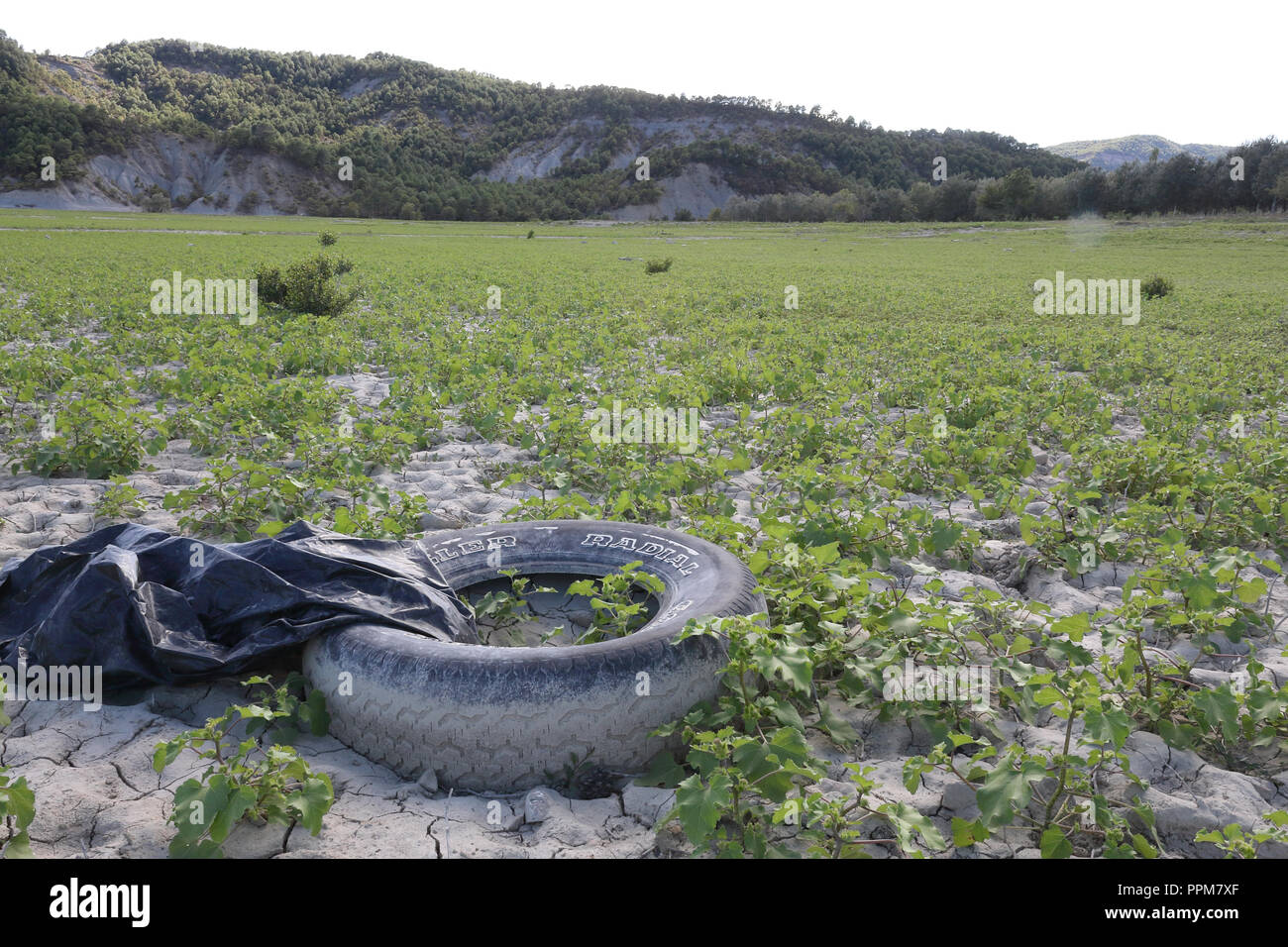 Un esempio di ambiente inquinamento dovuto alla garbage: persa un pneumatico abbandonato nell'erba verde, oltre a secco argilla del suolo, nel Lago mediano, Spagna Foto Stock