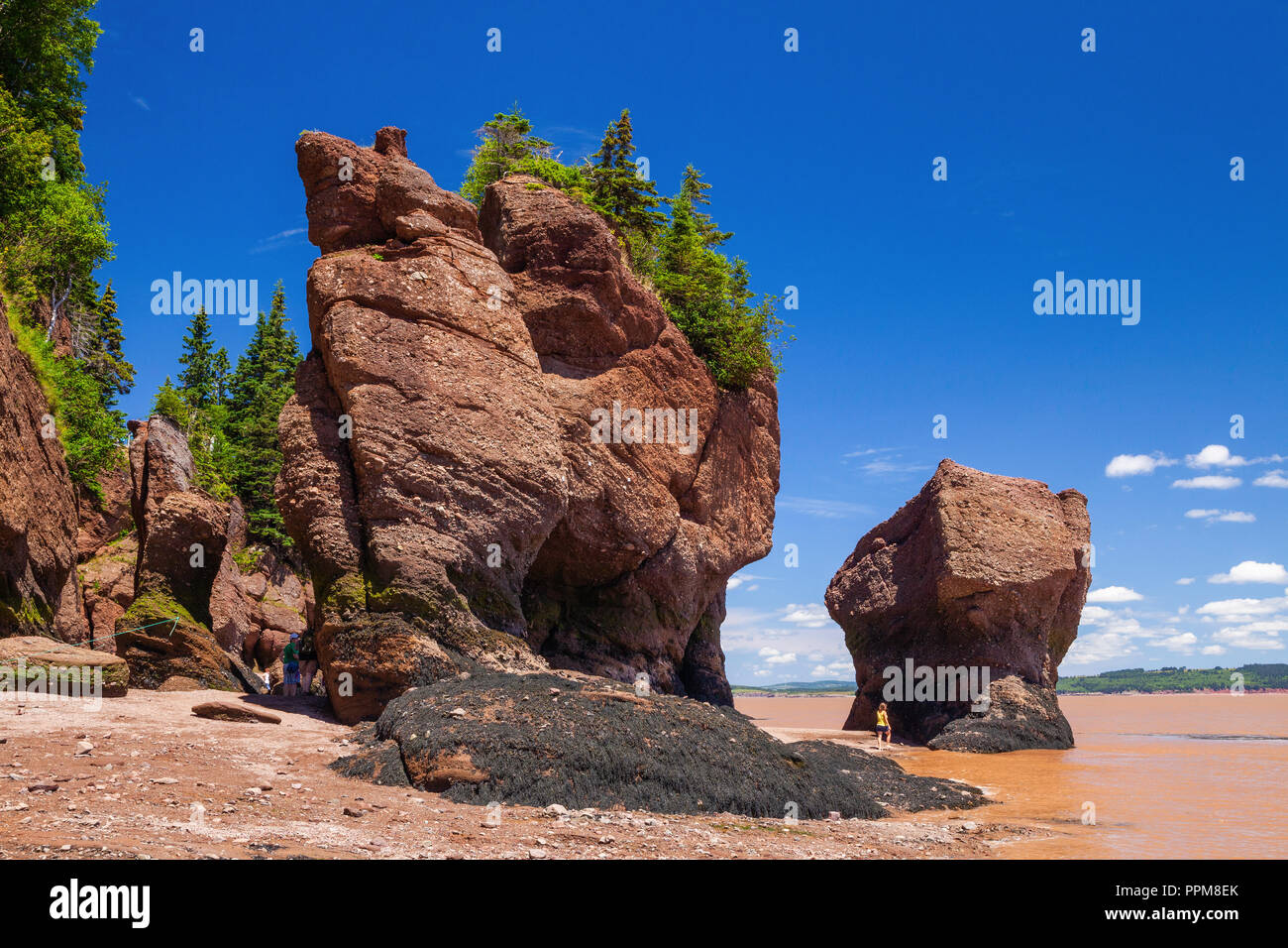 Rising Tide presso la Hopewell Rocks, Baia di Fundy, New Brunswick Foto Stock