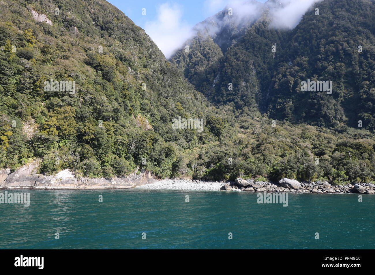 Fjordland National Park, Nuova Zelanda , Milford Sound, Foto Stock