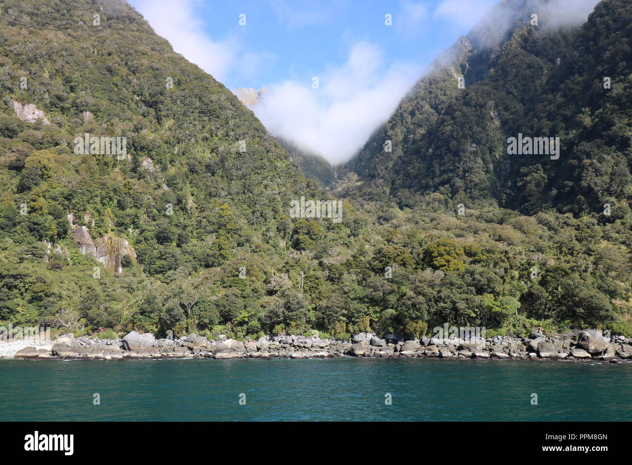 Fjordland National Park, Nuova Zelanda , Milford Sound, Foto Stock