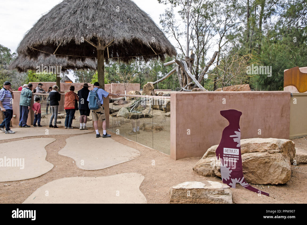 Lo Zoo di Dubbo visitatori guardando meerkats nel loro recinto. Foto Stock