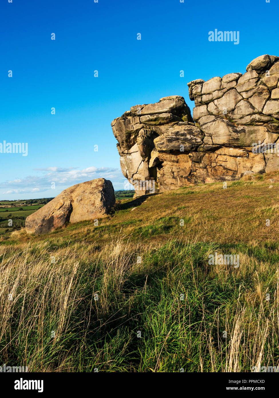 Rupe Almscliff macina grinta affioramenti vicino a Harrogate North Yorkshire, Inghilterra Foto Stock