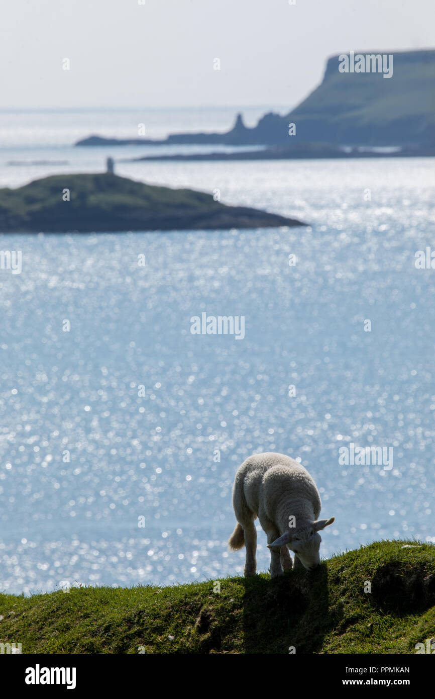 Isola di Skye Foto Stock