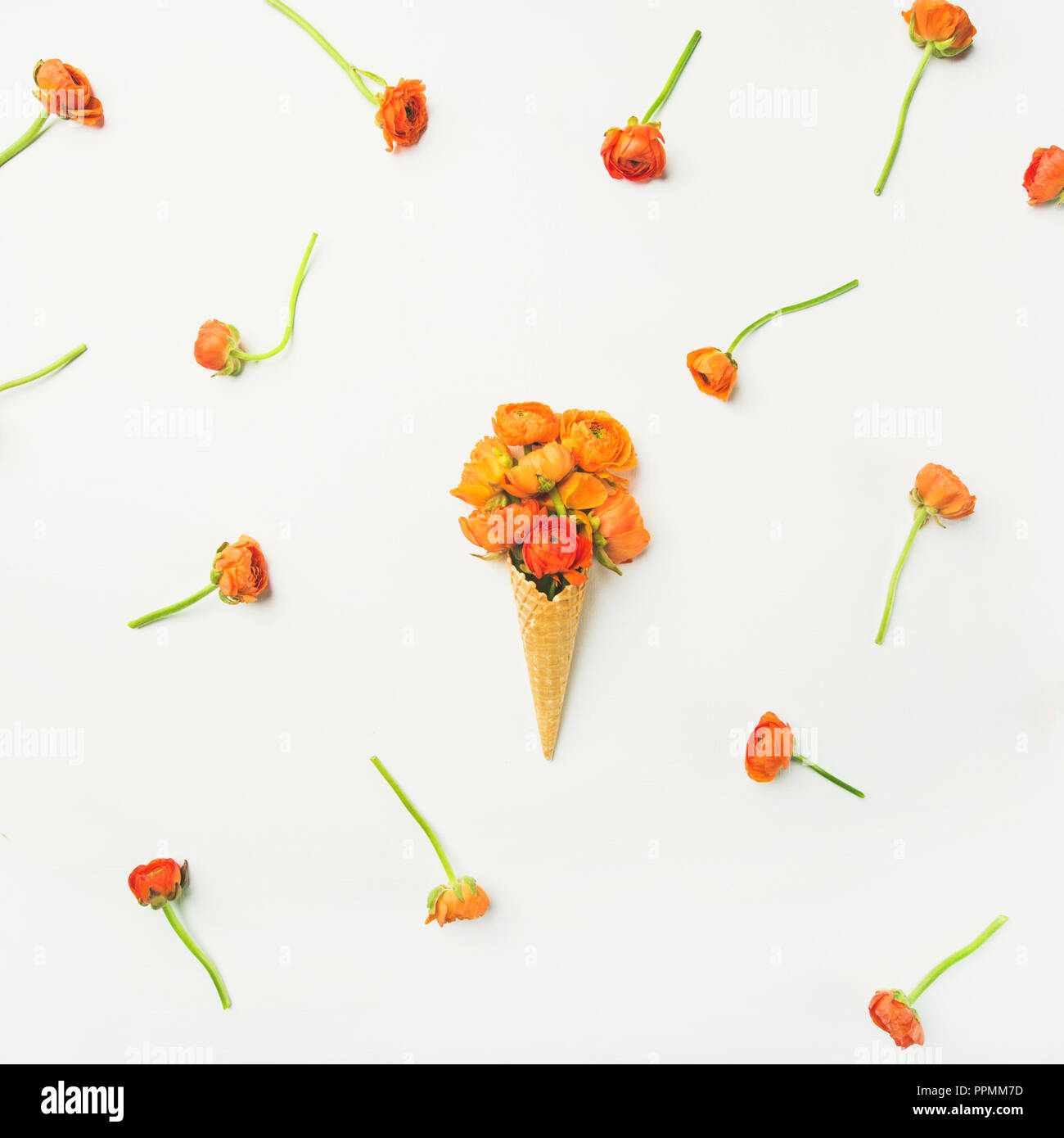 Cono di cialda con il ranuncolo arancio fiori su fondo bianco, flat-lay Foto Stock