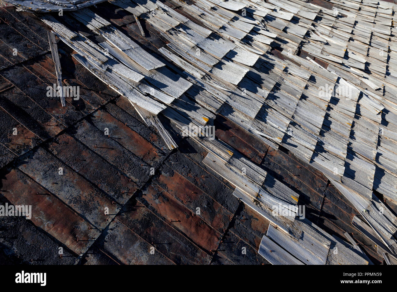 Stagno e agitare le assicelle di coprire un deterioramento del tetto abbandonato nella città fantasma di Hamilton, Nevada. Foto Stock